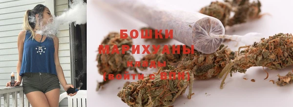 дмт Елабуга