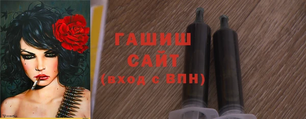 меф Ельня