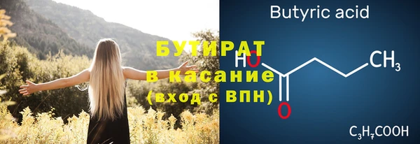 меф Ельня