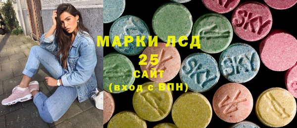 дмт Елабуга