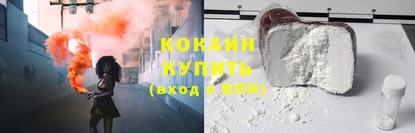 меф Ельня