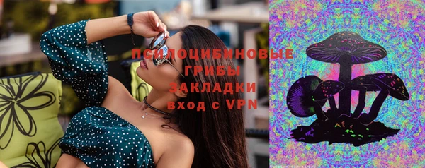 меф Ельня