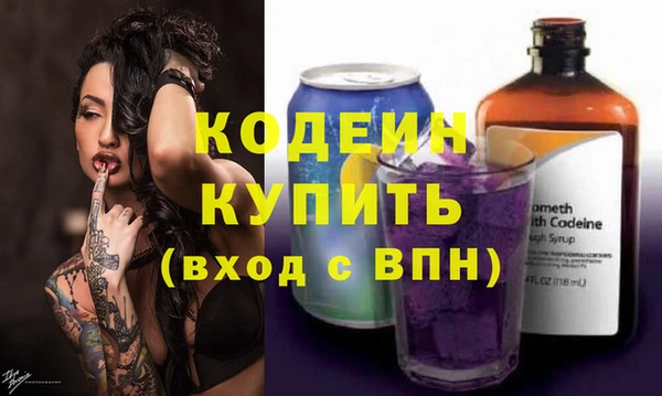 меф Ельня