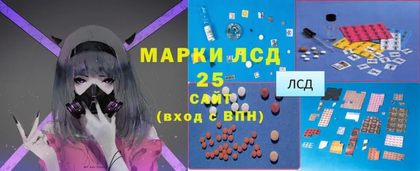 меф Ельня
