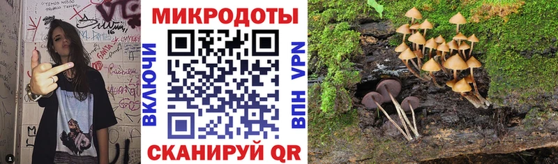 Псилоцибиновые грибы мицелий Западная Двина